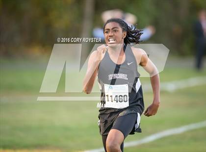 Thumbnail 3 in Joe Halm Alexandria City Cross Country Championships photogallery.
