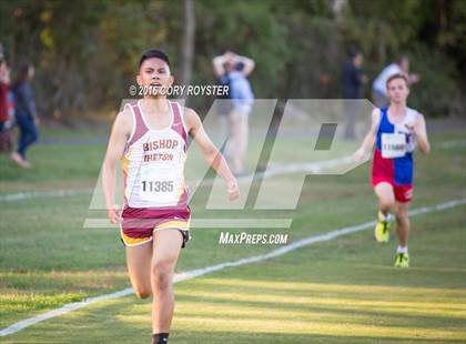 Thumbnail 2 in Joe Halm Alexandria City Cross Country Championships photogallery.