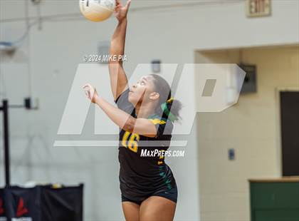 Thumbnail 1 in Wake Forest @ Pine Forest photogallery.