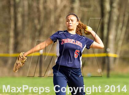 Thumbnail 2 in Brookline @ Needham photogallery.