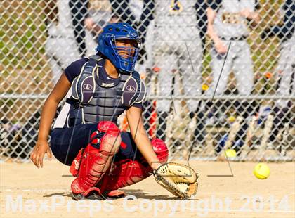 Thumbnail 1 in Brookline @ Needham photogallery.