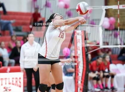 Thumbnail 3 in Pioneer @ Sharyland photogallery.