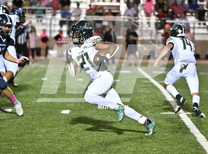 Thumbnail 1 in Reagan [Ronald] vs Johnson photogallery.