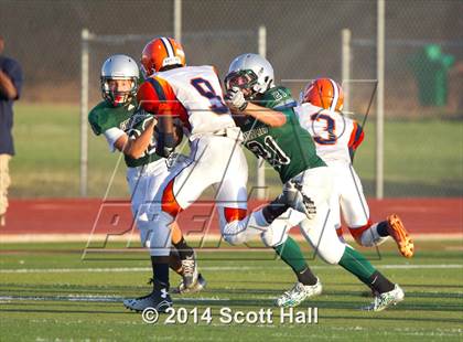 Thumbnail 3 in Cosumnes Oaks @ Granite Bay photogallery.