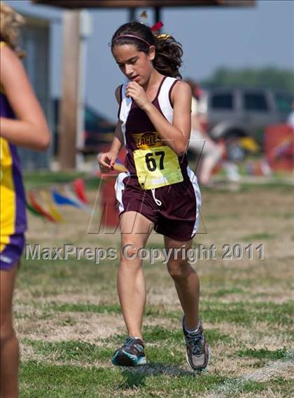 Thumbnail 3 in Galesburg Invitational Cross Country photogallery.