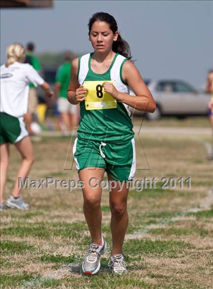 Thumbnail 1 in Galesburg Invitational Cross Country photogallery.