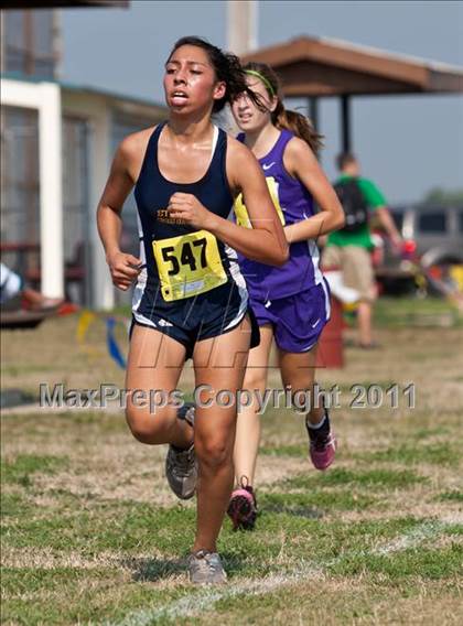 Thumbnail 3 in Galesburg Invitational Cross Country photogallery.