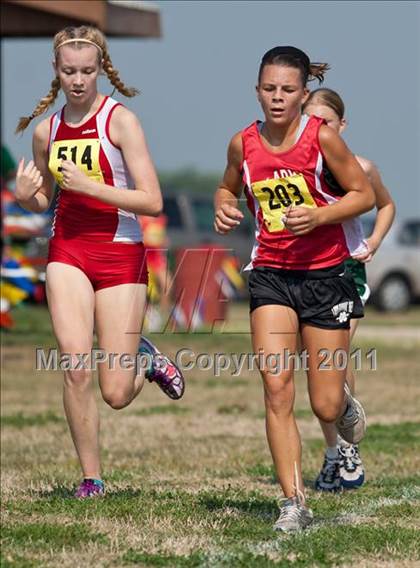Thumbnail 1 in Galesburg Invitational Cross Country photogallery.