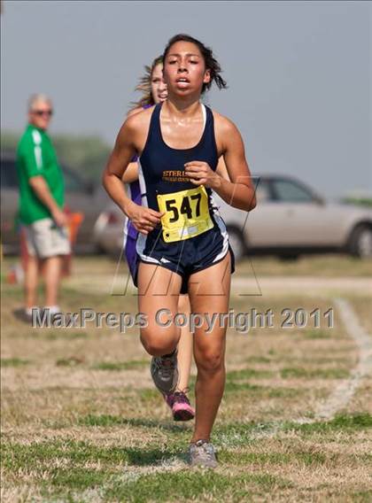 Thumbnail 1 in Galesburg Invitational Cross Country photogallery.