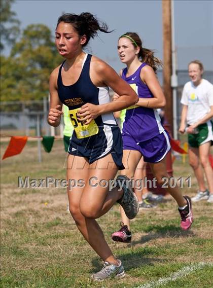 Thumbnail 2 in Galesburg Invitational Cross Country photogallery.