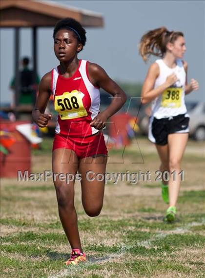 Thumbnail 3 in Galesburg Invitational Cross Country photogallery.