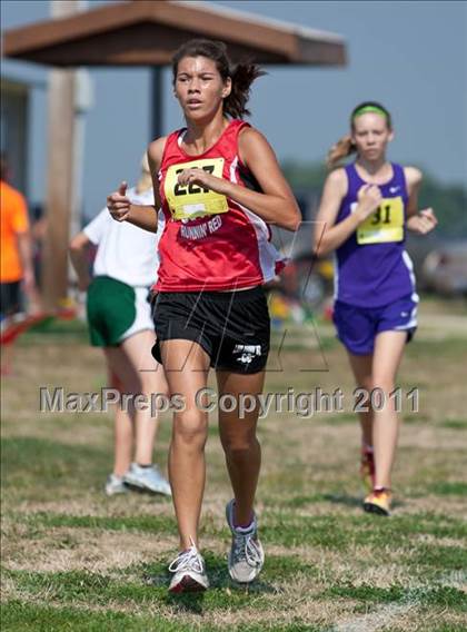Thumbnail 3 in Galesburg Invitational Cross Country photogallery.