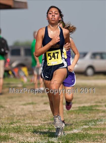 Thumbnail 2 in Galesburg Invitational Cross Country photogallery.