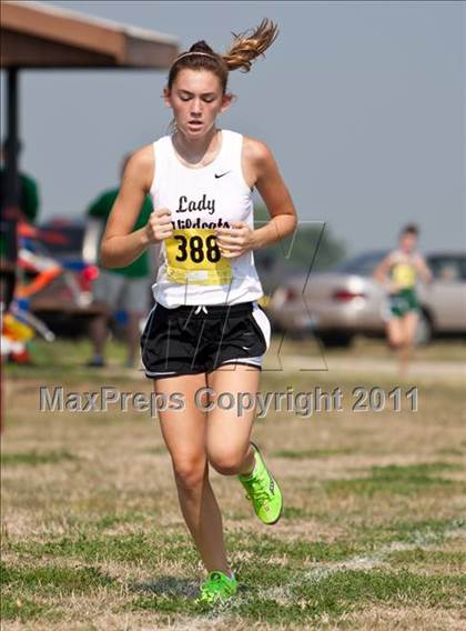 Thumbnail 1 in Galesburg Invitational Cross Country photogallery.