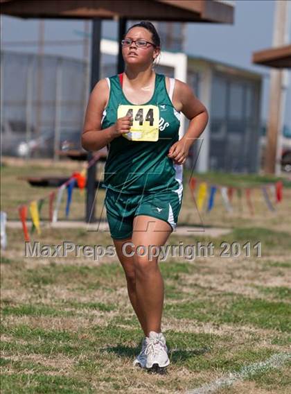 Thumbnail 2 in Galesburg Invitational Cross Country photogallery.