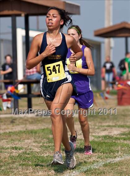 Thumbnail 1 in Galesburg Invitational Cross Country photogallery.