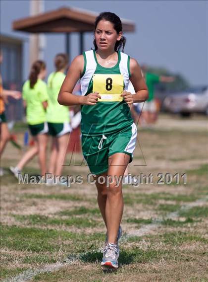 Thumbnail 3 in Galesburg Invitational Cross Country photogallery.