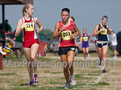Thumbnail 3 in Galesburg Invitational Cross Country photogallery.