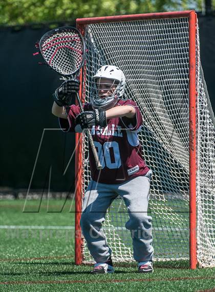 Thumbnail 2 in La Salle Academy vs Barrington (RIIL Division 1 Final) photogallery.