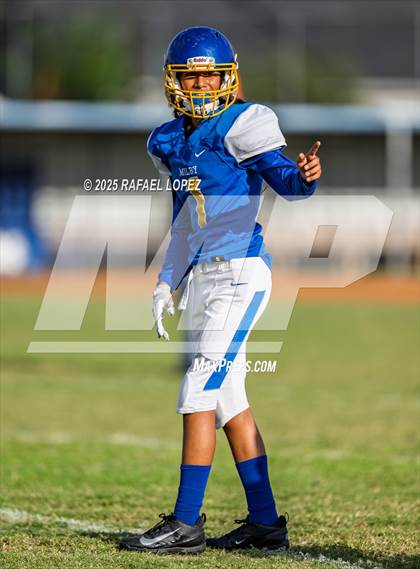 Thumbnail 1 in FR: Galena Park @ Milby photogallery.
