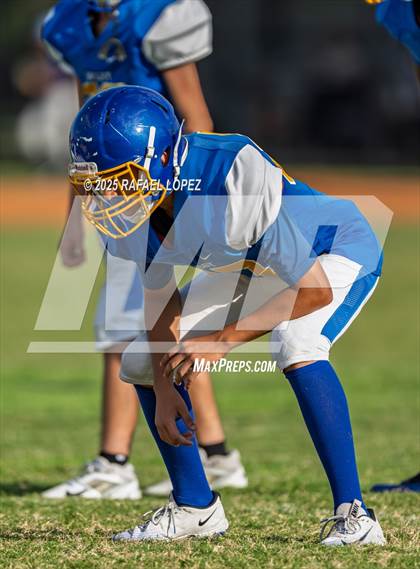 Thumbnail 2 in FR: Galena Park @ Milby photogallery.