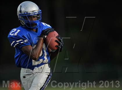 Thumbnail 1 in Northern @ Lackey photogallery.