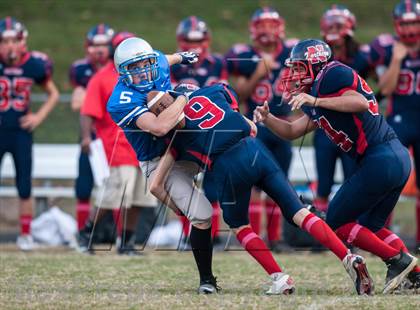 Thumbnail 3 in Northern @ Lackey photogallery.