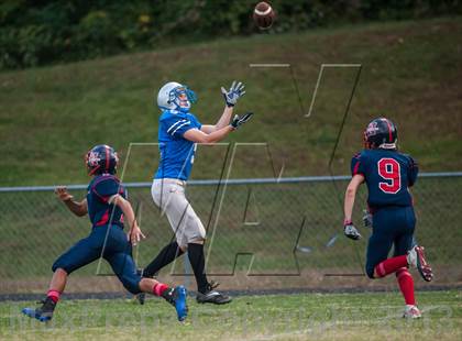 Thumbnail 1 in Northern @ Lackey photogallery.