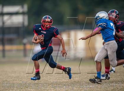 Thumbnail 3 in Northern @ Lackey photogallery.