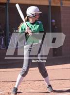 Photo from the gallery "Moriarty @ Los Alamos"