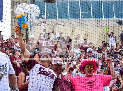 Thumbnail 3 in Andrews @ Calallen (UIL Softball 4A Div 1 Final) photogallery.