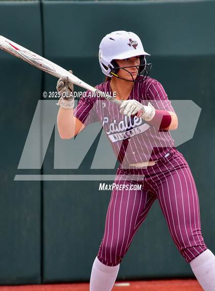 Thumbnail 2 in Andrews @ Calallen (UIL Softball 4A Div 1 Final) photogallery.