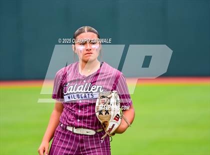 Thumbnail 3 in Andrews @ Calallen (UIL Softball 4A Div 1 Final) photogallery.
