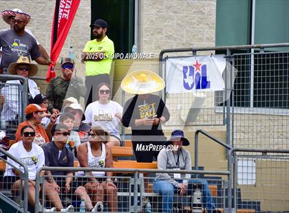 Thumbnail 1 in Andrews @ Calallen (UIL Softball 4A Div 1 Final) photogallery.