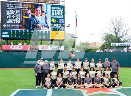 Thumbnail 1 in Andrews @ Calallen (UIL Softball 4A Div 1 Final) photogallery.