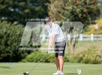 Thumbnail 3 in Concorde District Quad photogallery.