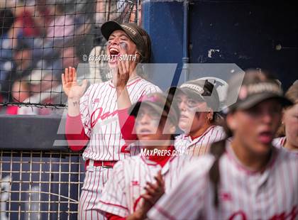 Thumbnail 3 in Springville @ Spanish Fork (UHSAA 5A Final - Game 3) photogallery.