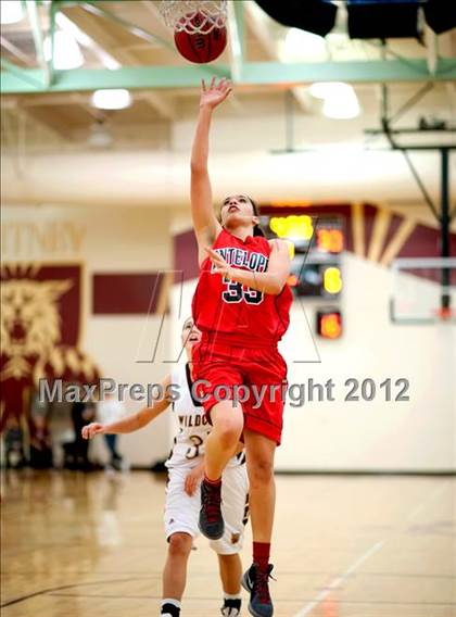 Thumbnail 1 in Antelope @ Whitney photogallery.