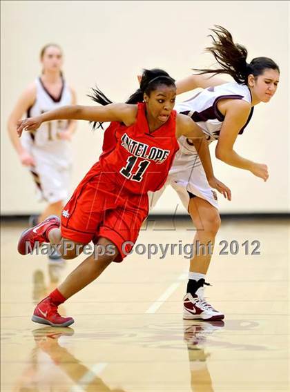 Thumbnail 2 in Antelope @ Whitney photogallery.