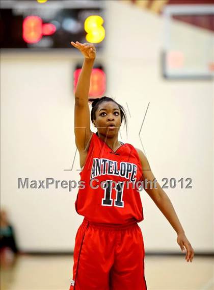 Thumbnail 3 in Antelope @ Whitney photogallery.