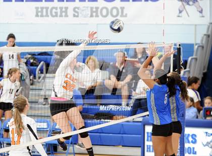 Thumbnail 3 in Herricks @ Carey (Herricks Tournament) photogallery.