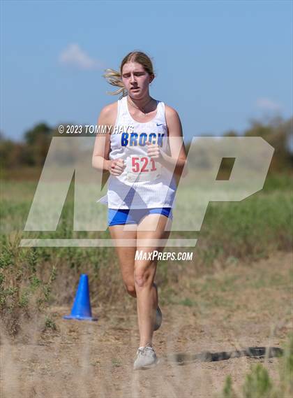 Thumbnail 1 in Brock Cross Country Meet photogallery.