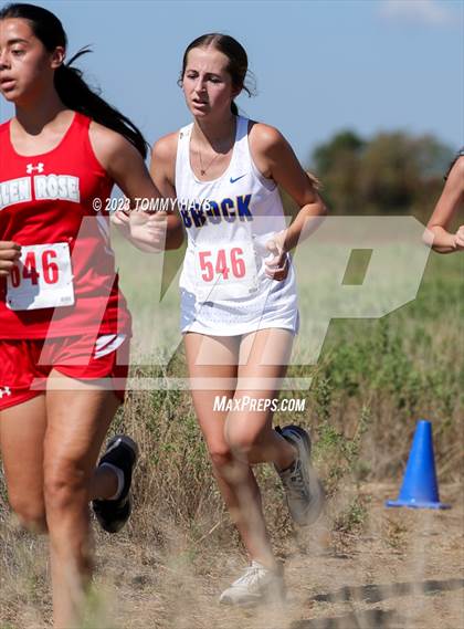 Thumbnail 1 in Brock Cross Country Meet photogallery.