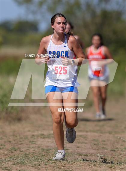 Thumbnail 2 in Brock Cross Country Meet photogallery.