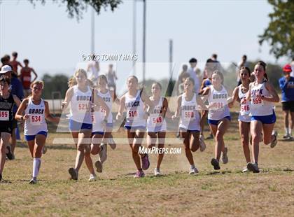 Thumbnail 2 in Brock Cross Country Meet photogallery.