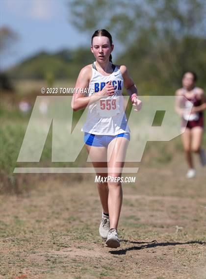 Thumbnail 2 in Brock Cross Country Meet photogallery.