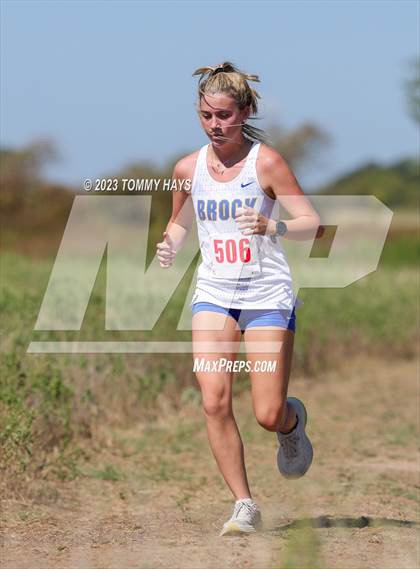 Thumbnail 3 in Brock Cross Country Meet photogallery.