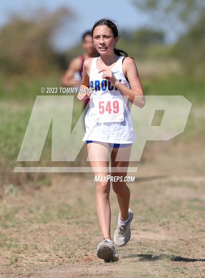 Thumbnail 1 in Brock Cross Country Meet photogallery.