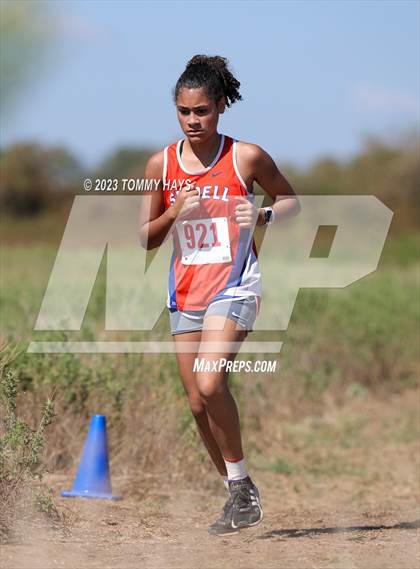 Thumbnail 3 in Brock Cross Country Meet photogallery.