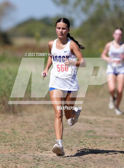 Thumbnail 2 in Brock Cross Country Meet photogallery.
